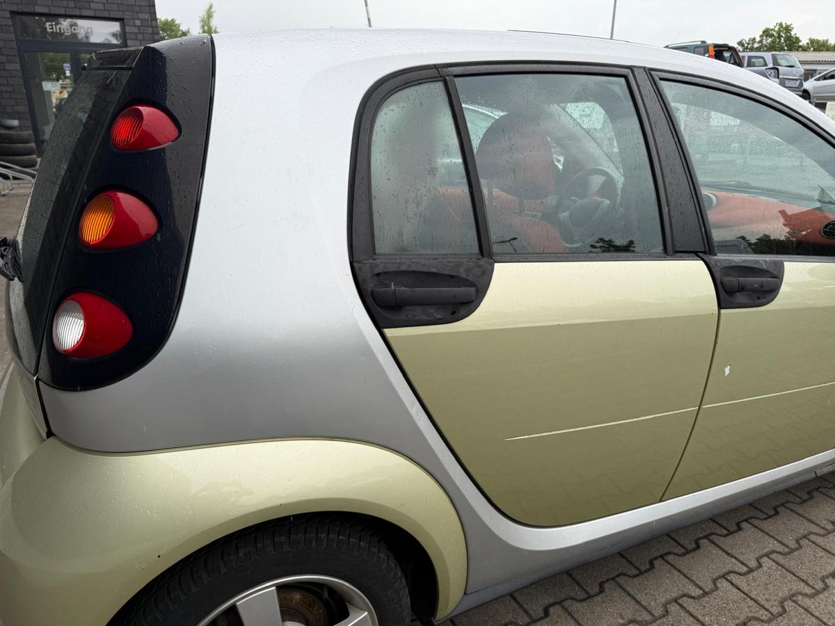 Smart ForFour 454 BJ05 original Tür hinten rechts EAR Melon Green Rohbau